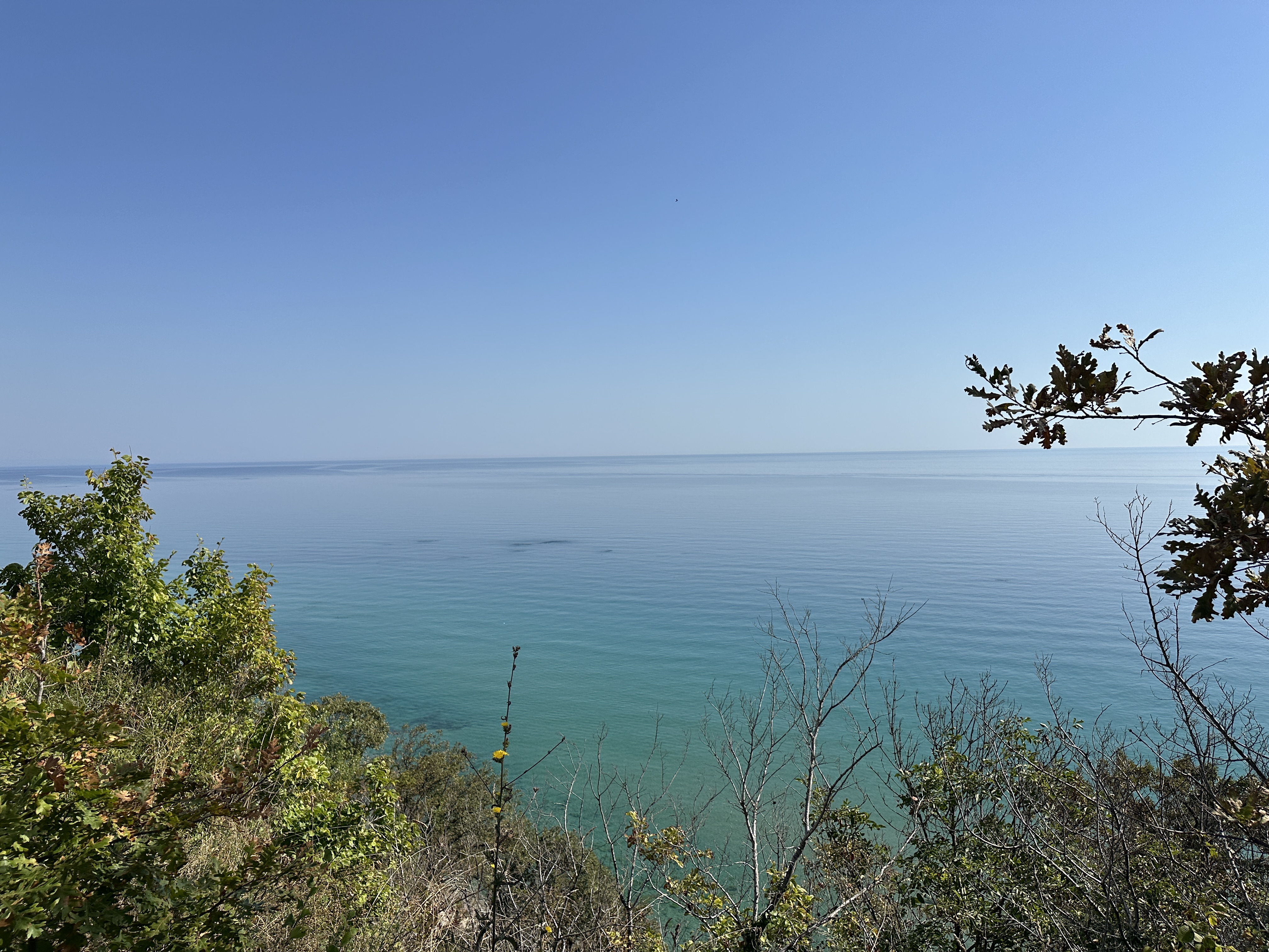 Парцел за продажба в град Бяла 
